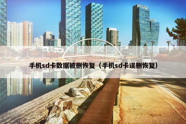 手机sd卡数据被删恢复（手机sd卡误删恢复）