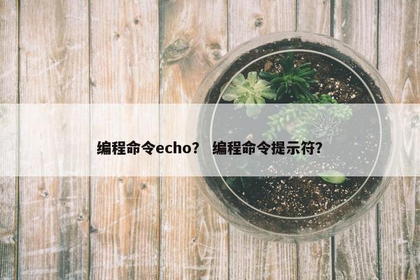 编程命令echo？ 编程命令提示符？