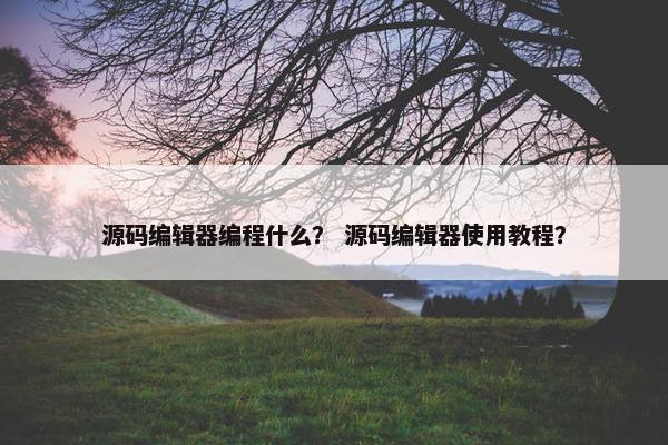 源码编辑器编程什么？ 源码编辑器使用教程？