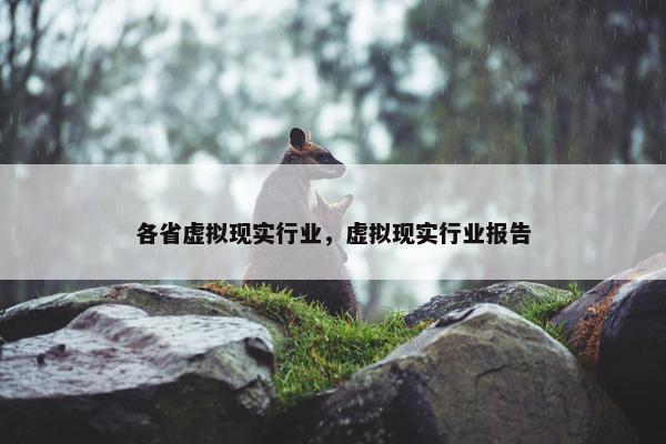 各省虚拟现实行业，虚拟现实行业报告