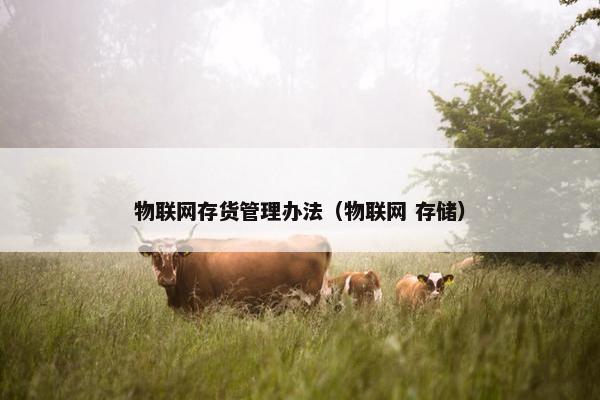 物联网存货管理办法（物联网 存储）