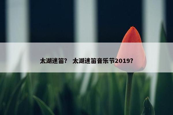 太湖迷笛？ 太湖迷笛音乐节2019？