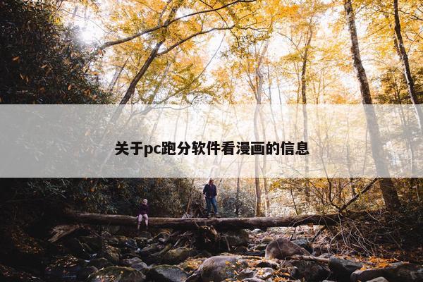 关于pc跑分软件看漫画的信息