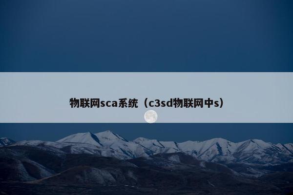 物联网sca系统（c3sd物联网中s）