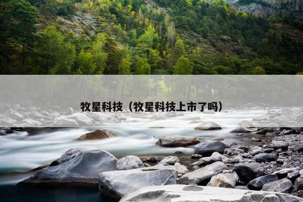 牧星科技（牧星科技上市了吗）