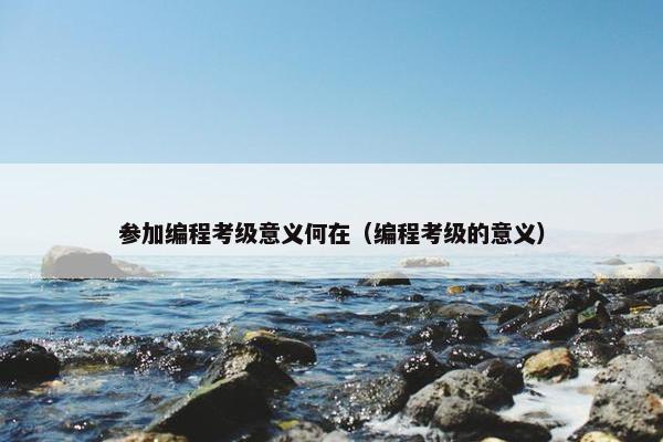 参加编程考级意义何在（编程考级的意义）