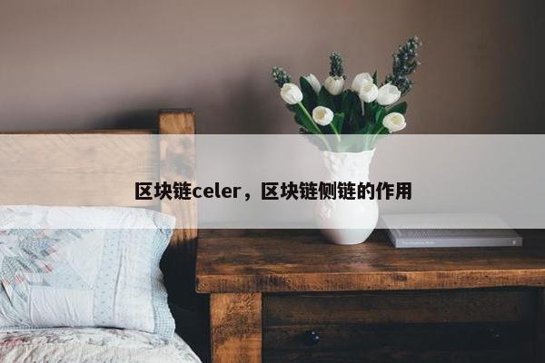 区块链celer，区块链侧链的作用