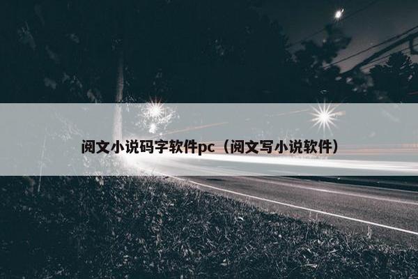 阅文小说码字软件pc（阅文写小说软件）
