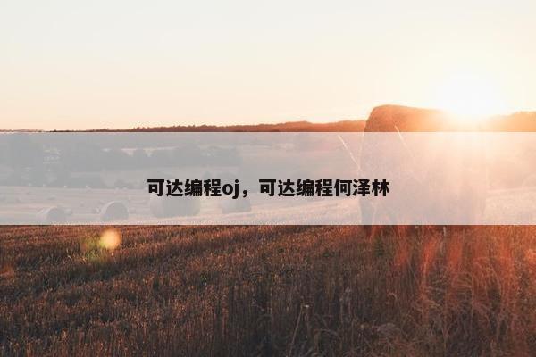 可达编程oj，可达编程何泽林