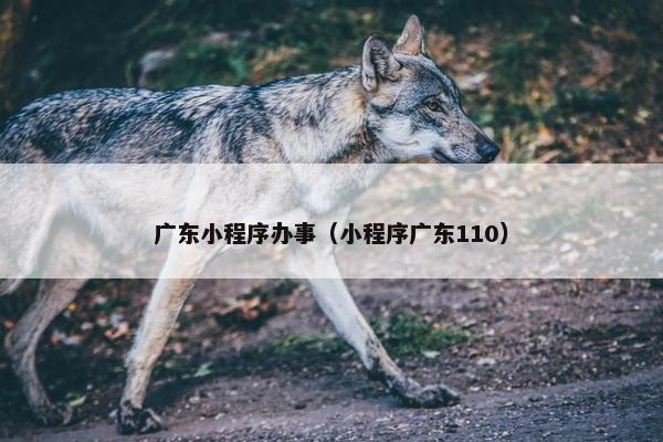 广东小程序办事（小程序广东110）