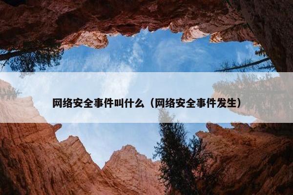 网络安全事件叫什么（网络安全事件发生）