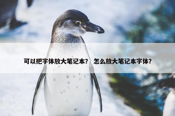 可以把字体放大笔记本？ 怎么放大笔记本字体？