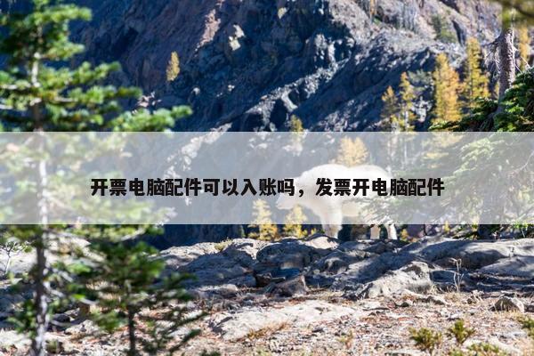 开票电脑配件可以入账吗，发票开电脑配件