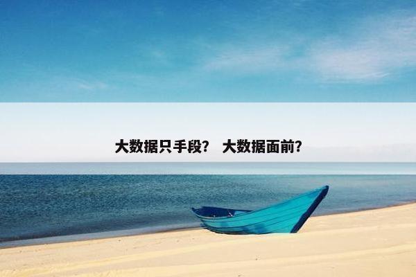 大数据只手段？ 大数据面前？