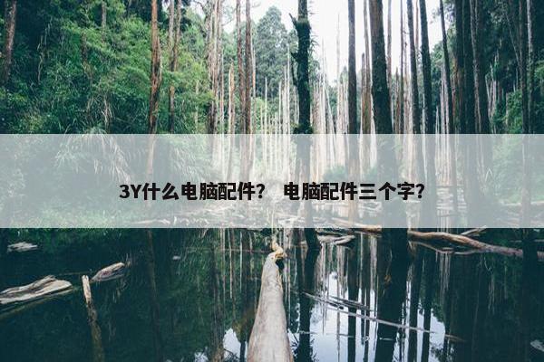 3Y什么电脑配件？ 电脑配件三个字？