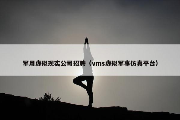 军用虚拟现实公司招聘（vms虚拟军事仿真平台）