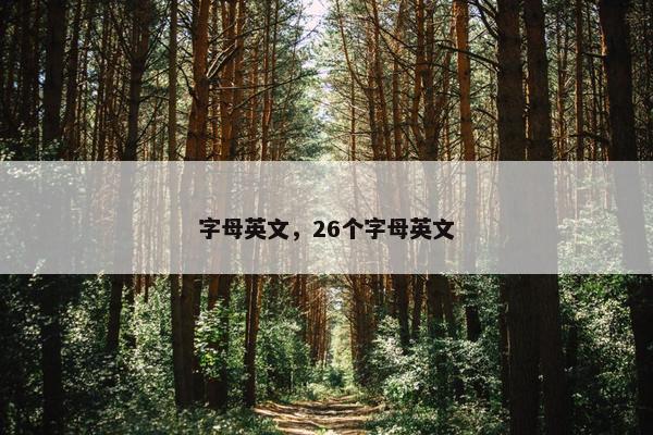 字母英文，26个字母英文