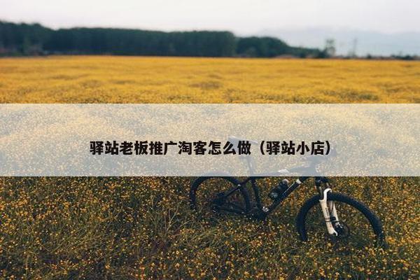 驿站老板推广淘客怎么做（驿站小店）