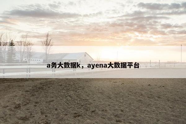 a务大数据k，ayena大数据平台