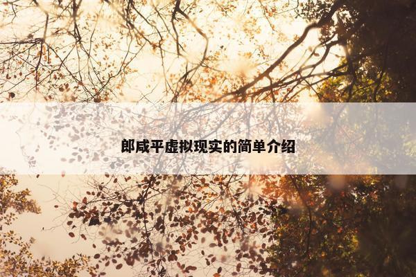 郎咸平虚拟现实的简单介绍