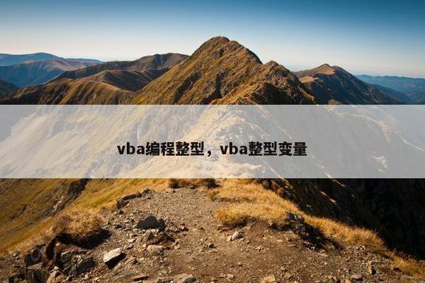 vba编程整型，vba整型变量