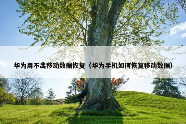 华为用不出移动数据恢复（华为手机如何恢复移动数据）