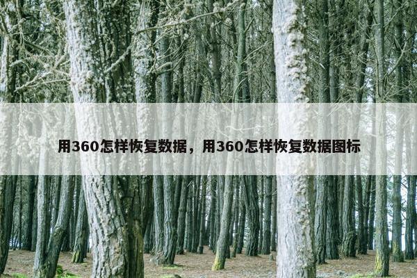 用360怎样恢复数据，用360怎样恢复数据图标