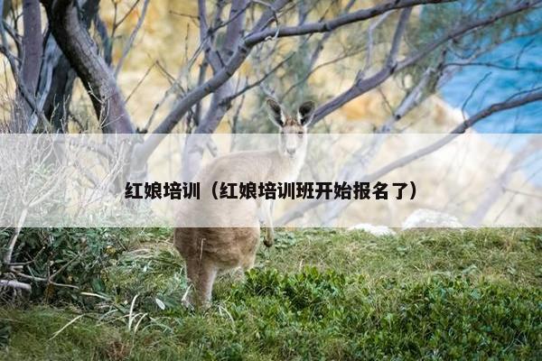 红娘培训（红娘培训班开始报名了）