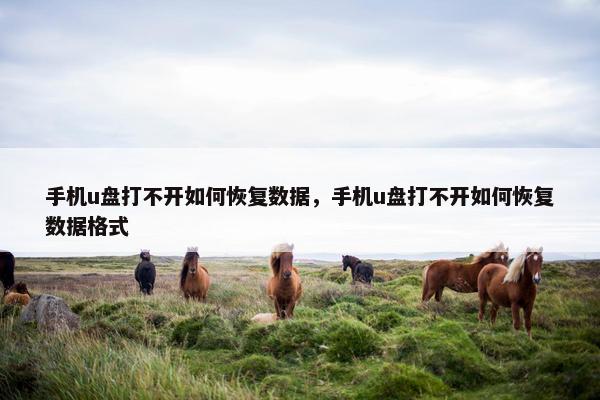 手机u盘打不开如何恢复数据，手机u盘打不开如何恢复数据格式