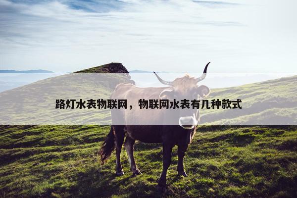 路灯水表物联网，物联网水表有几种款式