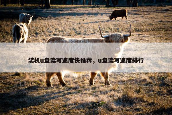 装机u盘读写速度快推荐，u盘读写速度排行
