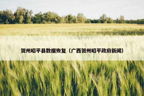贺州昭平县数据恢复（广西贺州昭平政府新闻）