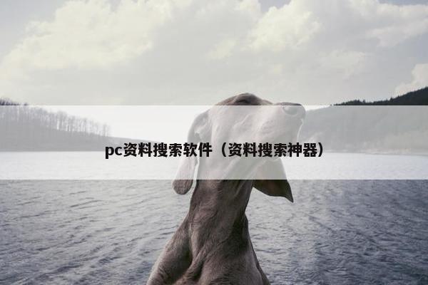 pc资料搜索软件（资料搜索神器）