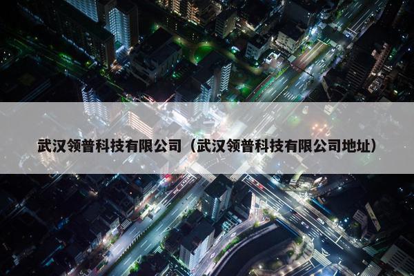 武汉领普科技有限公司（武汉领普科技有限公司地址）