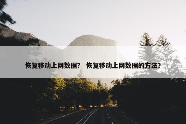 恢复移动上网数据？ 恢复移动上网数据的方法？