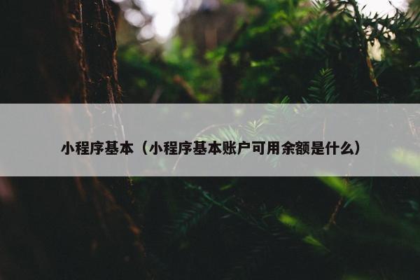 小程序基本（小程序基本账户可用余额是什么）