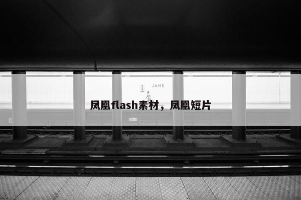 凤凰flash素材，凤凰短片