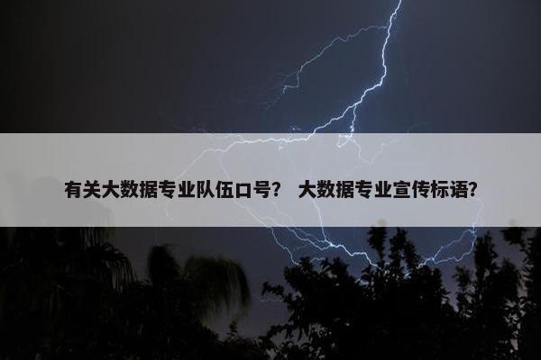 有关大数据专业队伍口号？ 大数据专业宣传标语？