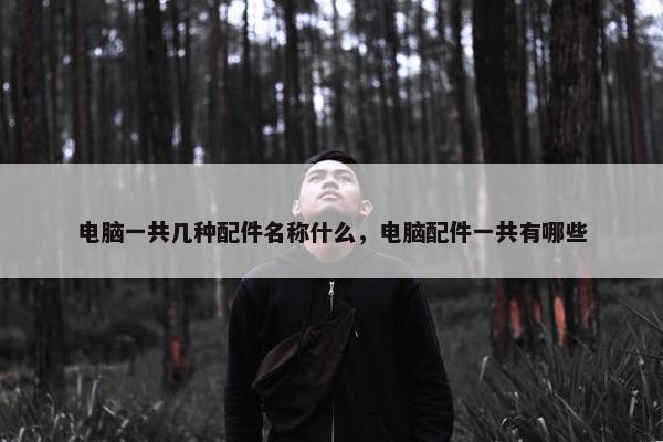电脑一共几种配件名称什么，电脑配件一共有哪些