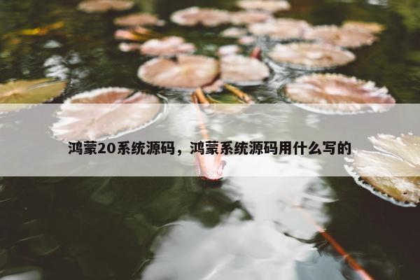 鸿蒙20系统源码，鸿蒙系统源码用什么写的
