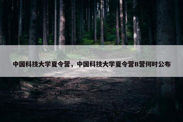 中国科技大学夏令营，中国科技大学夏令营B营何时公布