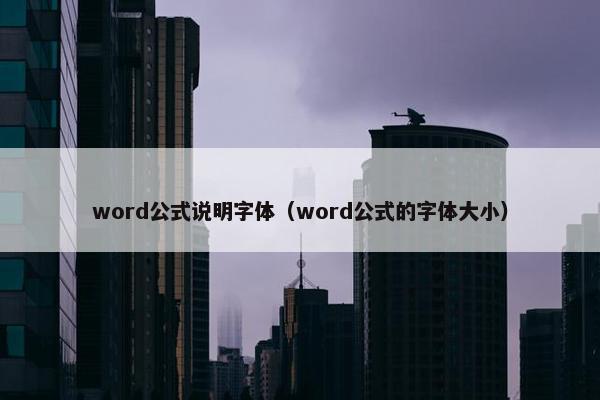 word公式说明字体（word公式的字体大小）