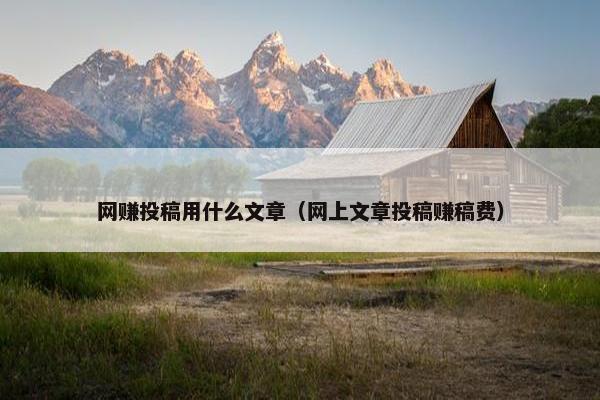 网赚投稿用什么文章（网上文章投稿赚稿费）