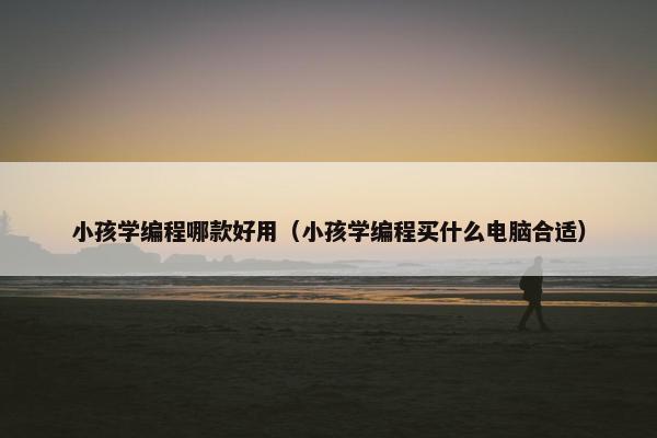 小孩学编程哪款好用（小孩学编程买什么电脑合适）