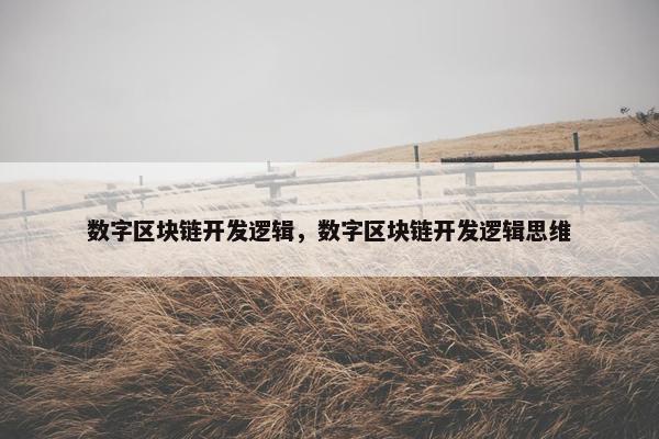 数字区块链开发逻辑，数字区块链开发逻辑思维