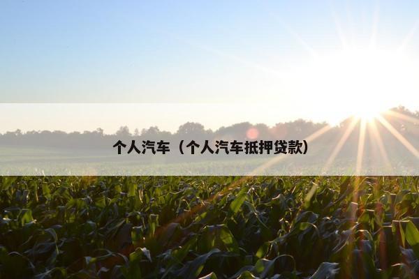 个人汽车（个人汽车抵押贷款）