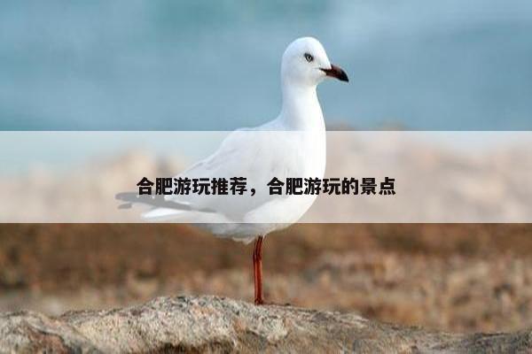 合肥游玩推荐，合肥游玩的景点