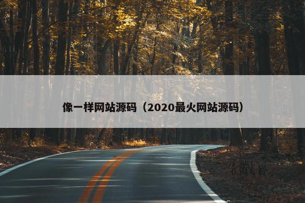 像一样网站源码（2020最火网站源码）