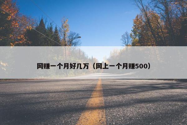 网赚一个月好几万（网上一个月赚500）