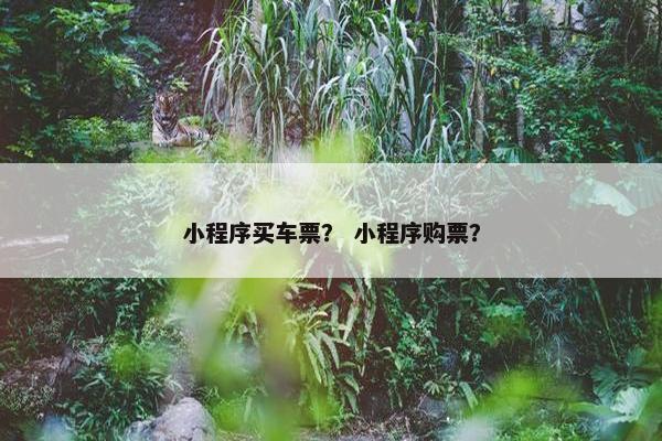 小程序买车票？ 小程序购票？